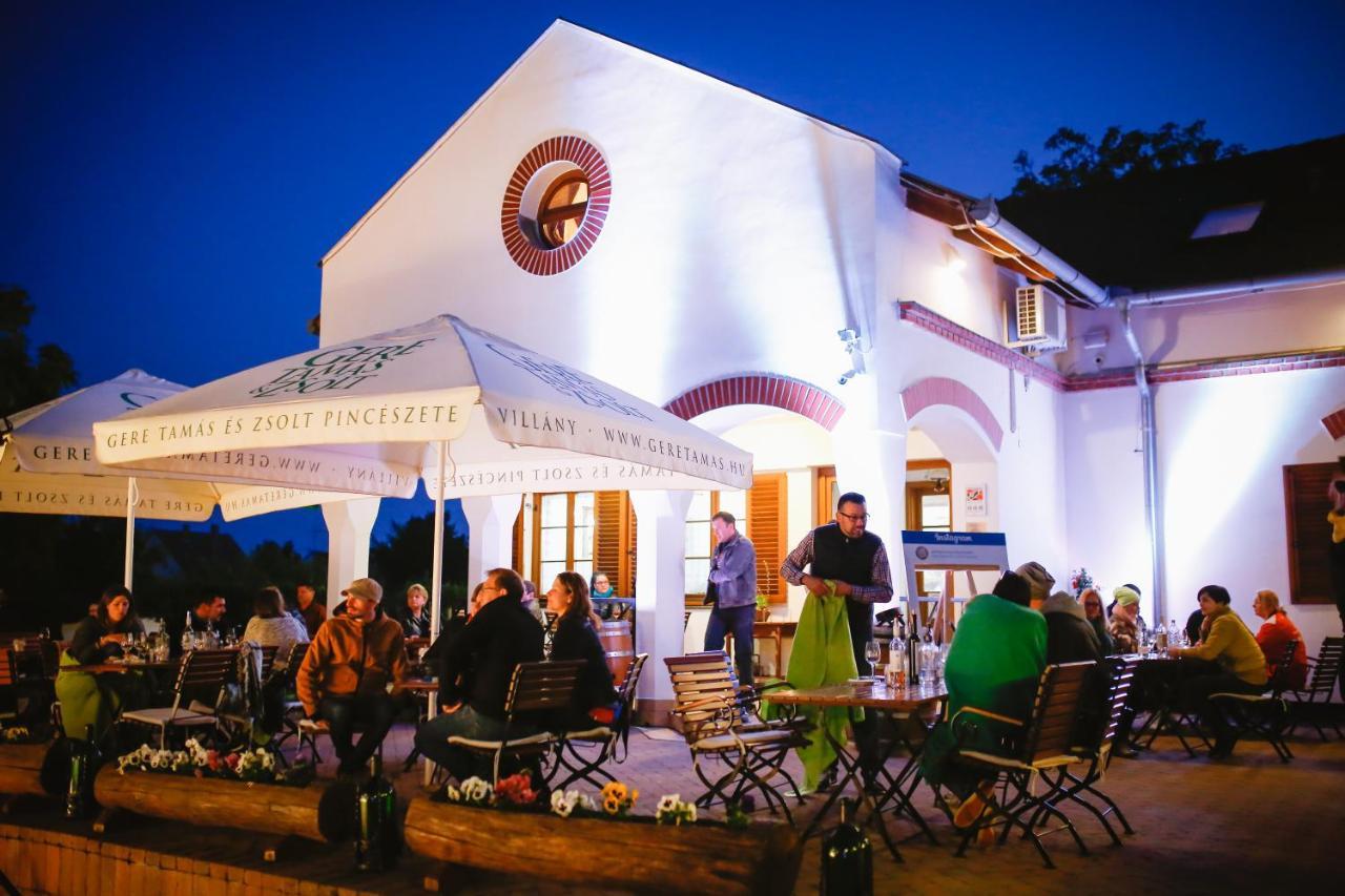 Diofa Panzio Bed & Breakfast Villany Luaran gambar