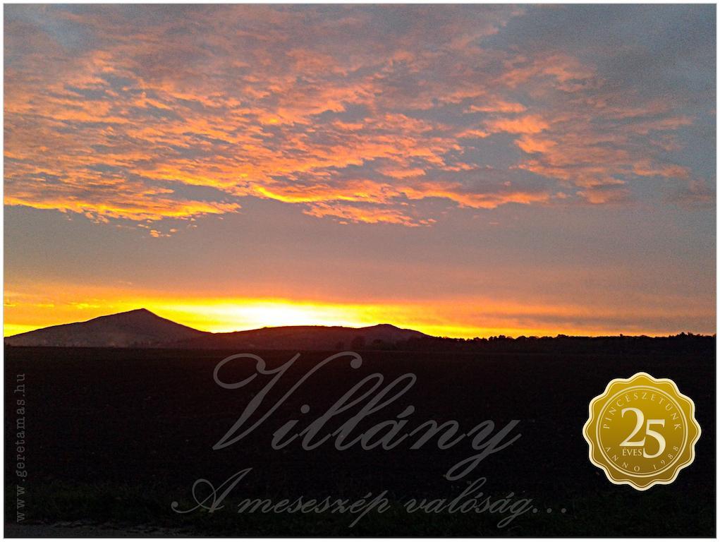Diofa Panzio Bed & Breakfast Villany Luaran gambar