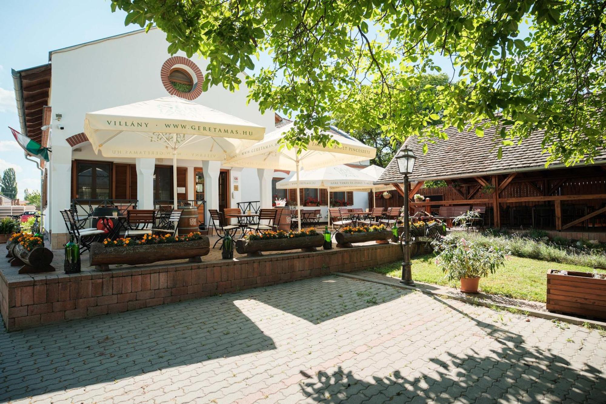 Diofa Panzio Bed & Breakfast Villany Luaran gambar